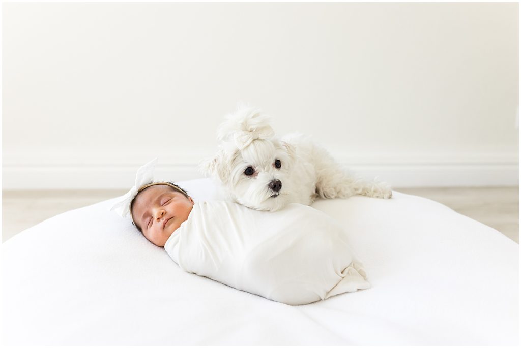 Baby girl and dog Newborn Photos OKC