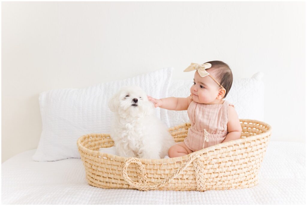 Baby with Dog in Basket in OKC Photography Studio