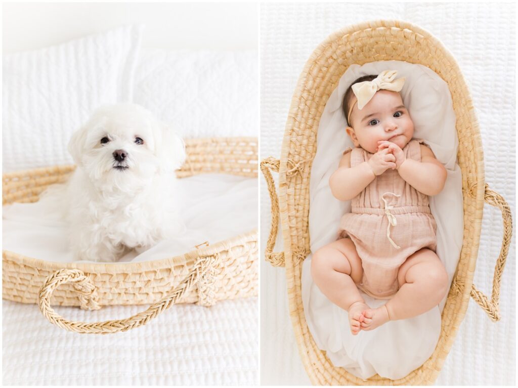 Baby with Dog in Basket in OKC Photography Studio